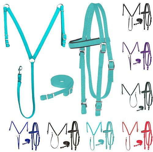 Majestic Ally Pferdesport-Stirnband, Halfter, Zügel und Brusthalsband, Nylon, gepolstert, Türkis