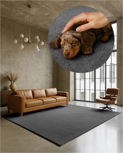TEXMAXX Weicher Kurzflor Teppich Wohnzimmer mit rutschhemmender Rückseite | 160 x 200 cm - Modern für Flur, Esszimmer und als Schlafzimmer Teppich in Grau - Waschbar bis 30 Grad