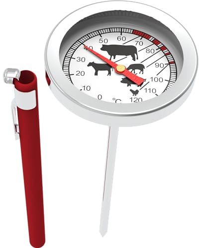 Browin 100600 Thermomètre de Cuisson en Acier Inoxydable | avec Échelle Graphique 0-120°C | pour Cuire, Fumer et Cuire les Viandes