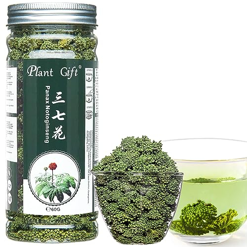 Plant Gift Panax Notoginseng Flower, 三七花 Panax Notoginseng Fleur, Sanchi Ginseng Fleur, Tièvenci Notoginseng Tea, Sanqi, Beauté de la santé Théane chinois, Tièvenci Ginseng 60g / 2.12oz