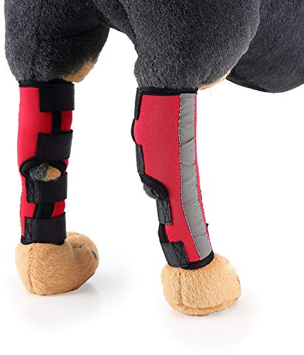 Zunea Dog Canine Rear Leg Hock Joint Brace Wrap Protector Red M | Reflective, Hind Leg Extra Supportive, Hock Joint Compression Sleeve, for Wound Injury, Sprain Healing of Arthritis