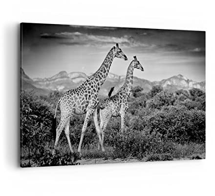 ARTTOR Bilder auf Leinwand 120x80cm Wandbild Afrika Schwarz-Weiß - 4441 | Giraffen Schwarz UND Groß XXL Wanddekoration Wohnzimmer Schlafzimmer Wanddeko Wand Kunstdruck Wandkunst Wall Decor ARTTOR