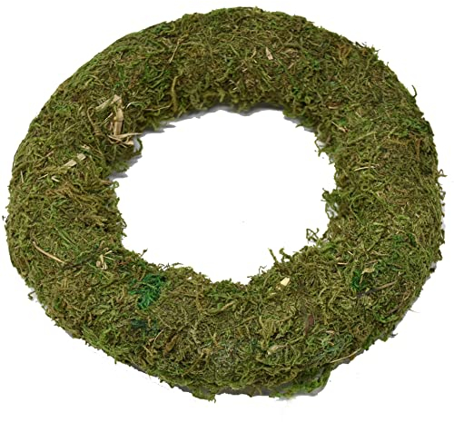 Kranz -Simple- Moos 20cm grün Dekoration Naturdeko Tischdeko