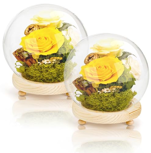 Pumtus 2 Pack Clear Glass Dome Cloche, 6 Inch Decorative Display Bell Jar with Wooden Base, DIY Snow Case Memory Showcase for Flower Tabletop Centerpiece Home Christmas Party Decoration