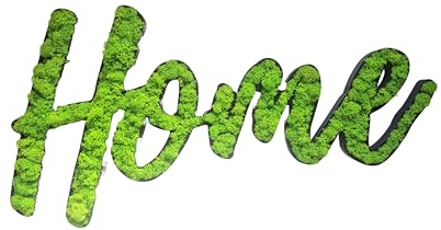 LasDecorias Moosbild Home Wanddeko Aus Moos Mosswand Wandbilder Wandbegrünung Pflanzen-Wand Pflanzenbild Moosbilder Lebend Konserviert 70 x 36 cm