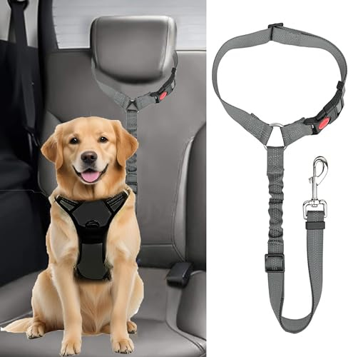 Dog Seat Belt For Cars, Gray