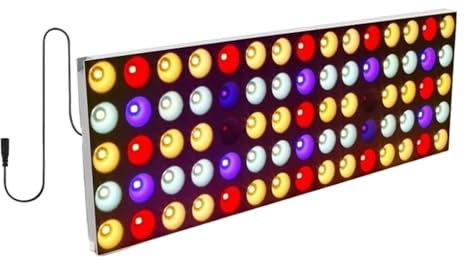 HPHPH Plant Grow Light, Dimmable LED Grow Light Full Spectrum 750W with Timer for Indoor Tent Garden Hydroponics Seedling Veg Bloom Plant Aquarium Lamp for Indoor Growth(100W DC 12V)