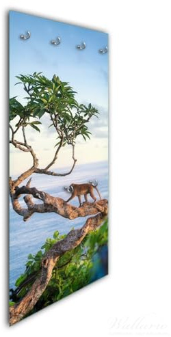 Wallario Wandgarderobe aus Glas in Größe 50 x 125 cm in Premium-Qualität, Motiv: AFFE auf Baum | 7 Kleiderhaken zum Aufhängen von Jacken