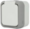 Electraline 615905 Prise Française (2P+T) 16A Outdoor IP55 Hypro