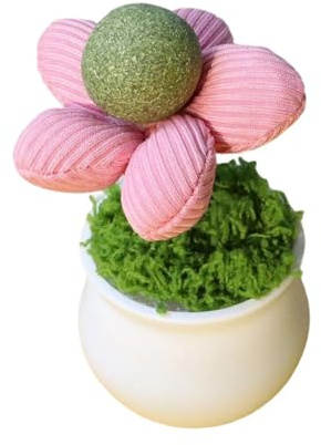 YWLUUOO Natural Catnips Potted Plant Toy for Kittens Indoor Entertainment and Behavioral Improvement Teasing and Engagement Indoor Cats Entertainment