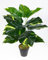Seidenblumen Roß Photos Real Touch 50cm grün-gelb im Topf ZJ Kunstpflanzen künstliche Pflanzen Photospflanze