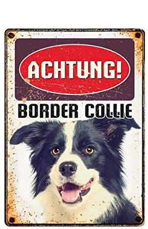Plenty Gifts Metallschild Vintage Achtung Border Collie