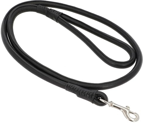 Gusti Leder Hundeleine Abelard - Robuste Lederleine Hundeleine mit Karabiner 120 cm schwarz Leder