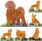 Terma Stahldesign Edelrost Hund Verschiedene Rassen, Handmade Germany, tolle gartendeko aus Rost-Metall, deko rostoptik, Rostfiguren Tiere, rostfiguren Garten, Rostdeko (Shih Tzu)