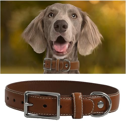 Hundehalsband aus echtem Leder, robustes Hundehalsband mit stabiler Metallschnalle, dickes Halsband für Spaziergänge, Wandern, Training, Jagd (S: passend für Halsumfang von 24,4 - 35,6 cm)
