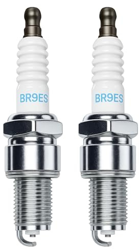 Zündkerze Ersetzen für NGK (3194) BR9ES, BOSCH 7992/WR5DC 4038/WR5DP | für Rasenmäher und kleine Motoren Traktor, Fahrzeuge