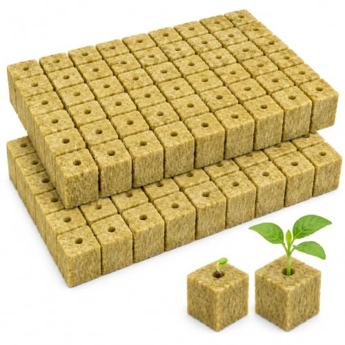 Horktrust 100 Cubos de Lana de Roca 2,5 cm – Sustrato para Cultivo Hidropónico, Germinación, Semilleros y Esquejes, Bloques para Cultivo sin Tierra y Trasplante