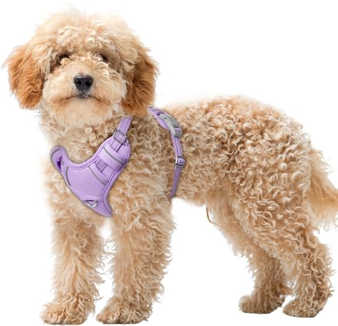 BARKBAY No Pull Dog Harness Large Reflective Dog Harness with Front Clip and Easy Control Handle for Walking Training Running with ID tag Pocket(Violet Purple,XS)