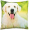 Brandsseller Dekokissen Zierkissen mit Tiermotiv - 40 x 40 cm (40 x 40 cm, Golden Retriever Motiv 2)