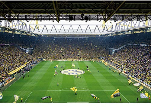 3D Fußball Tapete | Jugendzimmer und Männer Fototapete mit Stadion in Grün Gelb | Vlies Fototapete mit Sport Motiv ideal für Jungenzimmer und Teenager
