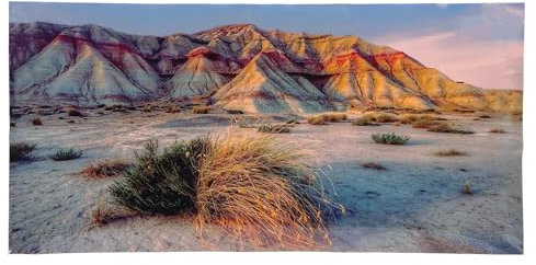 Cyrank Background Poster Decor for Aquarium, 61 * 41cm Fish Tank Terrarium Wallpaper Background Self Adhesive Aquarium Background Desert Terrarium Background Polyester Terrarium Background