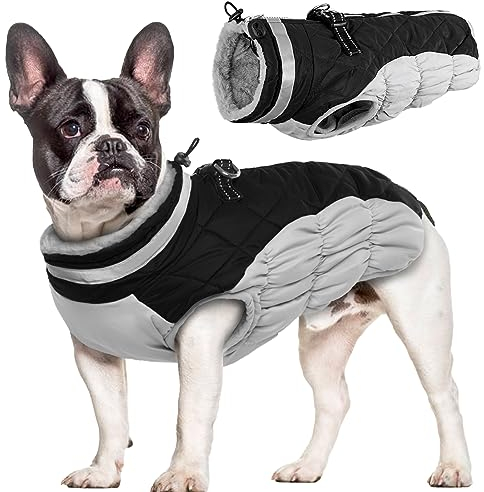 Hjumarayan Hundemantel für Kleine Mittelgroße Grosse Hunde, Hundemantel Winter Warme Hundejacke Wintermantel Hund Wasserdicht Hunde Mantel Gefüttert, Chihuahua Kleidung Winter (Schwarz S)