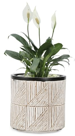 VOSSMOON 20cm Plant Pots Indoor Round Flowerpots, Large Garden Concrete Planter Outdoor Durable than Ceramic or Plasic Plant Pots, Plant Containers with Drainage Holes, Grey