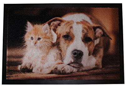 Carpido Fußmatte innen Sauberlauf - rutschfeste Schmutzfangmatte waschbar - hochwertige Türmatte 40x60 cm Hund & Katze Design - Fußabtreter Wohnung Deko
