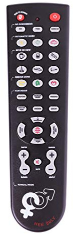 Froster Talking Remote Controller - Take Control of Your Woman, Silly Gift for Men, 33 recordings