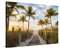 PICANOVA – Bild auf Leinwand Palmenweg zum Meer 120x80cm – Leinwandbild – Premium Leinwanddruck – Wandbild Kunstdruck Auf 2cm Holz-Keilrahmen Wohnzimmer Wanddekoration – Strand