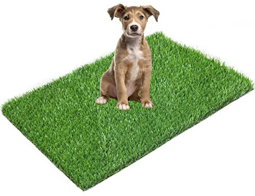 LOOBANI Hierba artificial de repuesto de 35 x 23 pulgadas para perros, tapete de césped para orinal con agujeros de drenaje, limpieza súper fácil (paquete de 1)