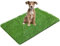 LOOBANI Hierba artificial de repuesto de 35 x 23 pulgadas para perros, tapete de césped para orinal con agujeros de drenaje, limpieza súper fácil (paquete de 1)