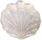 Belle Forme De Coquille Plat Plateau En Verre - Assiette Coquillage Pour Dîner Et Fruits - Style Vintage Saint-Jacques
