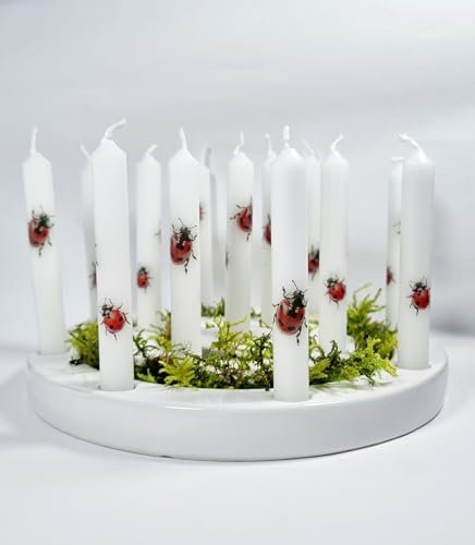 GLOWYBOX Geburtstagskerzen für Deko Geburtstagstisch Kerzen Kinderzug Geburtstag Tischdeko Zug Kind Geburtstagskerzen Baby Kleinkind Kindergeburtstag Kerzen Marienkäfer