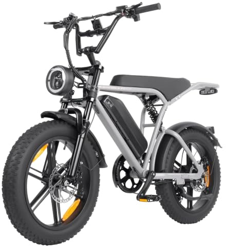 Sinaopus E-Bike 250W Elektrofahrrad für Erwachsene Fatbike 20 Zoll mit 48V 15Ah Akku & Doppelte Federung, Offroad-Elektrofahrrad bis zu 100 km