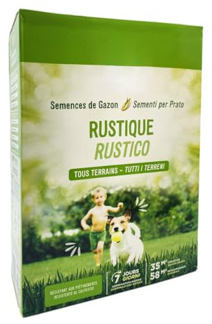 Virsus Semi per Prato RUSTICO ST35, 1 Confezione da 875gr, germinazione rapida in 7 Giorni, semina con poca acqua, calpestabile, adatto a tutti i tipi di terreni (35m²)