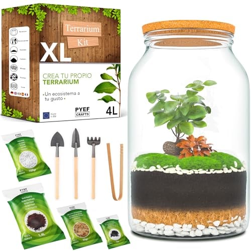 PYEF CRAFTS Kit Terrario Plantas XL - DIY Kit con Frasco Grande Terrario Cristal - Ecosistema Cerrado para Jardin Eterno - Terrarium Plantas Ecosistema - Sin Planta (Set con Frasco 4L)
