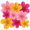 Zercart Paper Flowers Decoration for Wall ，Paper Floral Backdrop Decoration，Pink Flower Party Decoration Paper Fans,Hanging Paper Fans Decoration,9 Pieces Paper Fans Pink Party Classroom Decoration