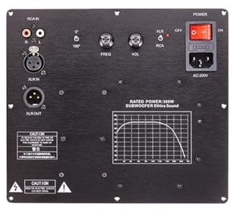 Sessleger TPA3255 Subwoofer - Amplificador de altavoz activo digital para sistemas de audio domésticos