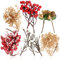COM-FOUR® Weihnachtsdekoration - dekorative Zweige zum Basteln - weihnachtliche Streudeko - Bastel Set - Weihnachtspotpourri als Tischdeko (6X Beutel: Zweige)