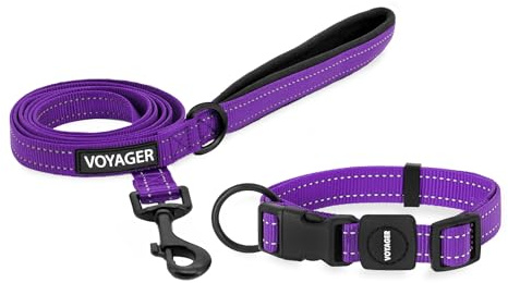 Best Pet Supplies Voyager Verstellbares Hundehalsband und Hundeleine aus Nylon, weich gepolsterter Griff und Hals mit reflektierenden Nähten, für Welpen, kleine, mittelgroße und große Hunde, Violett,