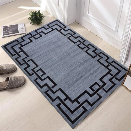 Hafaa Door Mat Indoor & Outdoor - Non Slip Heavy Duty Doormats - Stylish & Printed Mat - Perfect Dust Grabbing Shoes Scrapper Door Mats (Nico, 40cm x 60cm)
