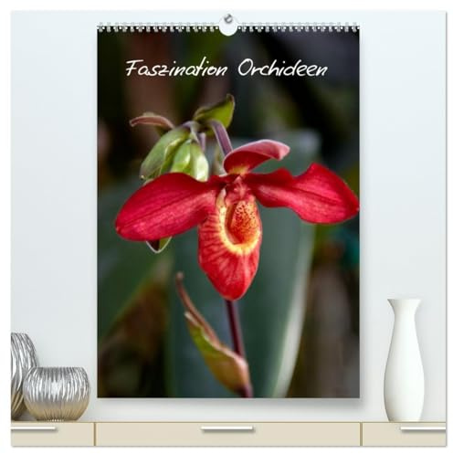 Faszination Orchideen (hochwertiger Premium Wandkalender 2026 DIN A2 hoch), Kunstdruck in Hochglanz: Der Kalender für den Orchideen-Liebhaber (CALVENDO Natur)