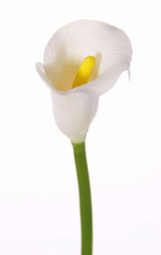 artplants.de Künstliche Calla CHIDORA, weiß, 55cm, 5x6,5cm | Deko Calla - Kunstblumen