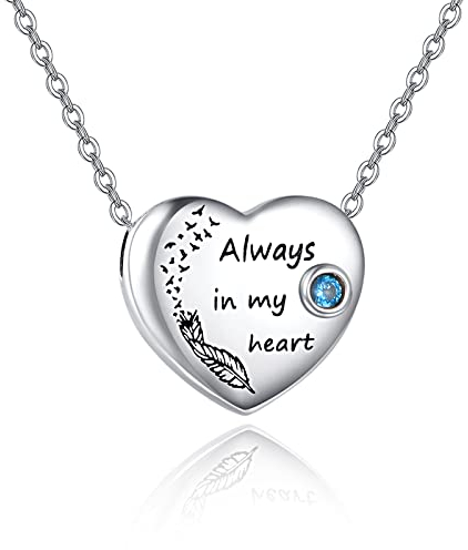PRAYMOS Urne Kette 925 Sterling Silber Asche Halskette Herz Anhänger Kremation Schmuck Feuerbestattung Gedenkgeschenk für Mama Papa Frauen Männer Haustier