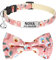 TagME Katzen halsbänder mit Namen und Telefonnummer Auf, Kätzchenhalsband mit Sicherheits Verschluss und Glöckchen, Blume Baby Pink