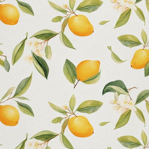 HEKO PANELS Stoff Oxford Wasserdichte Meterware Canvas-Stoff Polyester Nähstoff Dekostoffe Handwerken Wasserabweisend Blickdicht Zitronen Obst Aquarell Wasserfarbe 3 Meter 155 x 300 cm DX2100