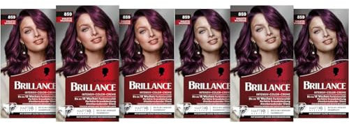 Brillance Intensiv-Color-Creme 859 Violette Wildseide (160 ml), dauerhafte Haarfarbe mit Diamant-Glanz und Pflege-Conditioner, für 10 Wochen Farbintensität (Packung mit 2)