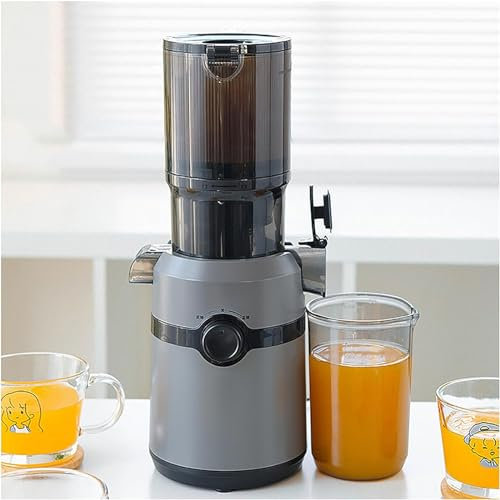 Masticating Juicer, 300W Cold Press Masticating Juicer with 13cm Feeding Chute, for Fruits Vegetables Green