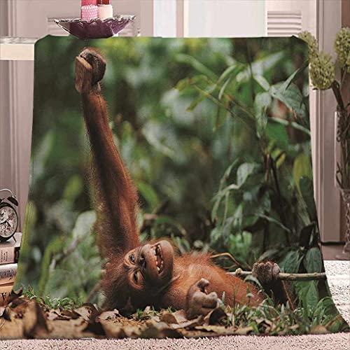 Wolldecken für Couch 3D AFFE Wohndecken Kuscheldecke 150x200 cm, Weiche Flauschige Decke Sofa, Warm Flanell Sofadecke / Fleecedecke / Couchdecke